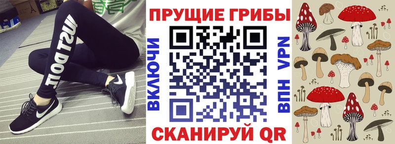 Купить закладки  Керчь  Галлюциногенные грибы MAGIC MUSHROOMS 
